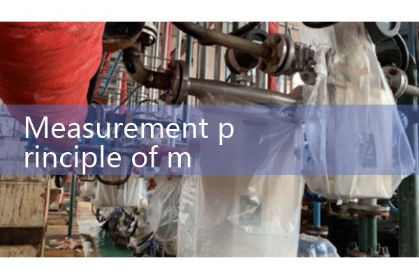 Measurement principle of mass flowmeter